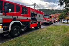 ViewImage-1