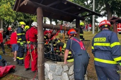 ViewImage-2
