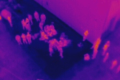 03-DJI-0036