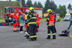 ViewImage-1